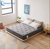 Foam Encasemen Taschenspulen Matratze Memory Foam Matratze in einer Schachtel
